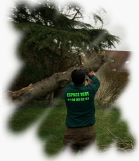 abattage tronc arbre